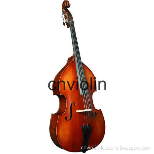 Five Strings Bass (LC-B050E)